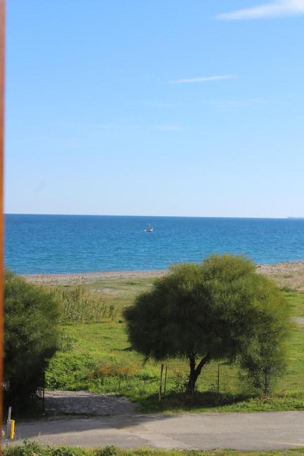 Villa El Sa Calopezzati Bagian luar foto